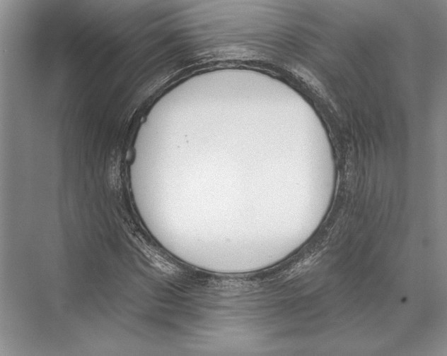 X0000072510873200608111651