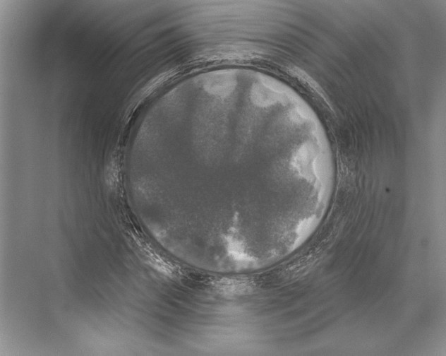 X0000072510874200608111651