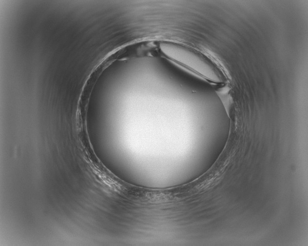 X0000072510876200608111651