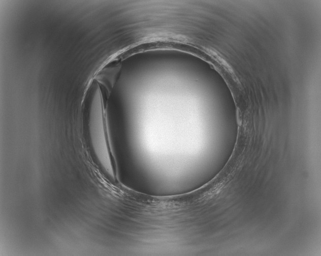 X0000072510877200608111651