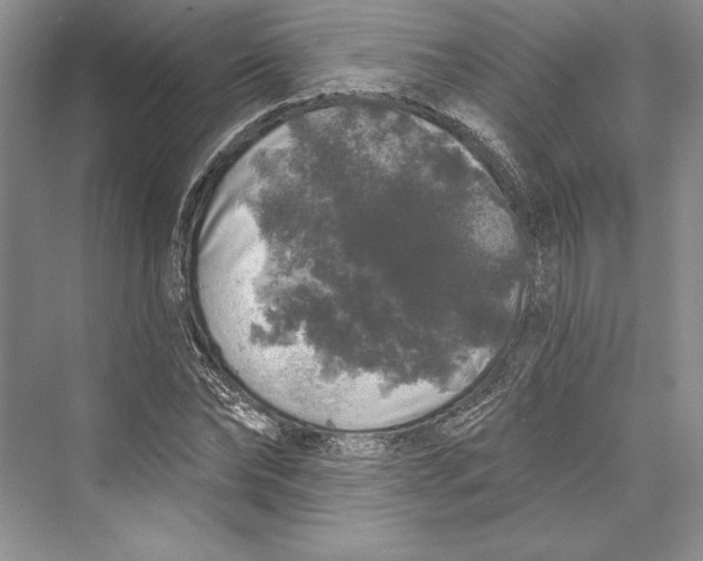 X0000072510878200608111651