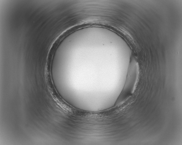 X0000072510880200608111651