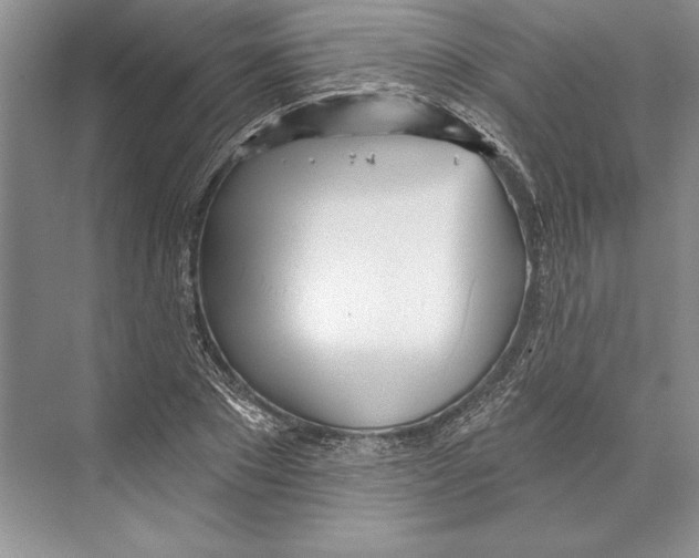 X0000072510881200608111651