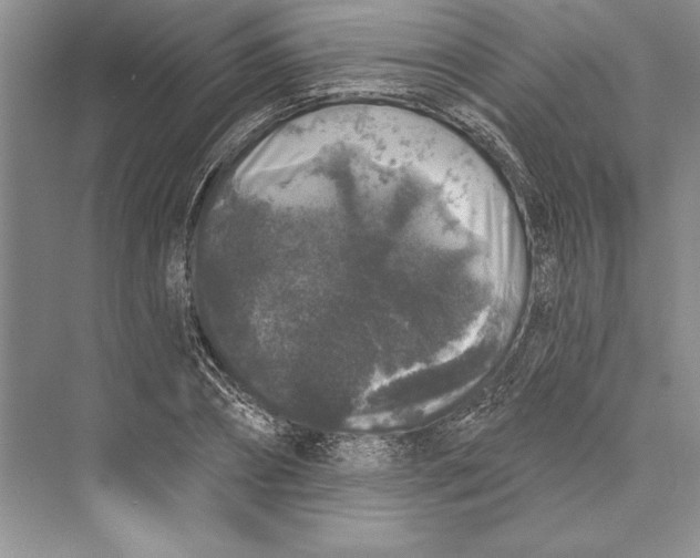 X0000072510882200608111651