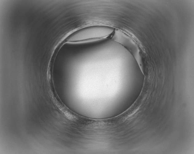 X0000072510885200608111651