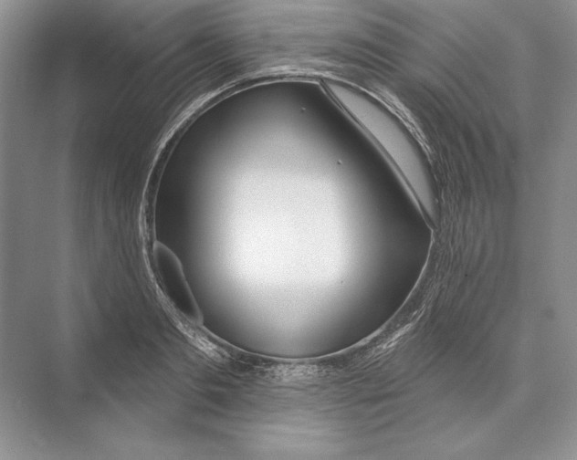 X0000072510893200608111651