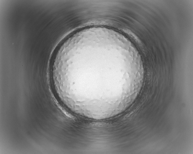 X0000072510894200608111651