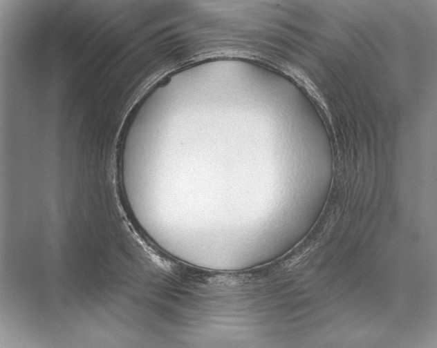 X0000072510898200608111651