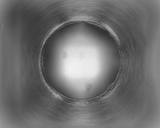 X0000072510901200608111651
