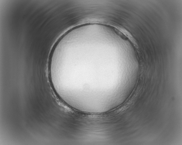 X0000072510904200608111651