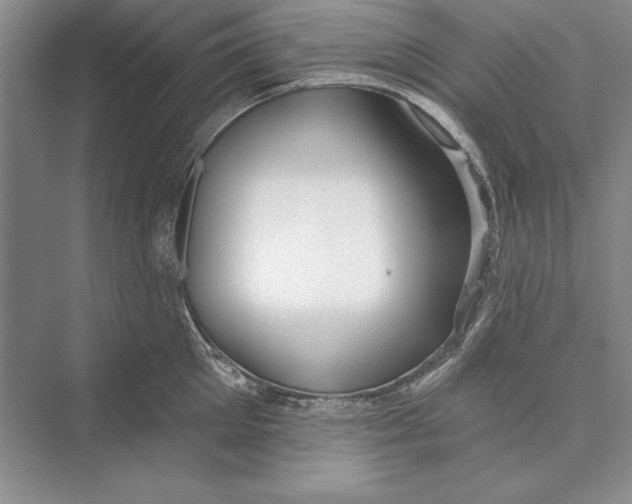 X0000072510905200608111651