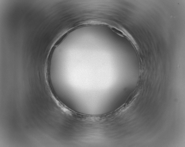 X0000072510909200608111651
