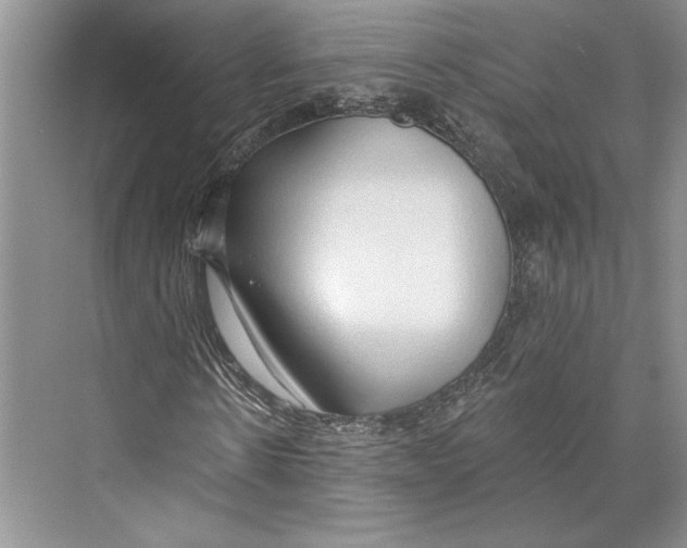 X0000072510914200608111650
