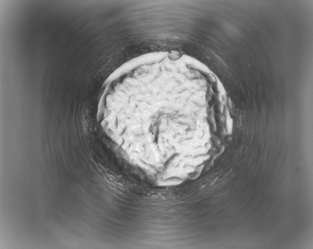 X0000072510915200608111650