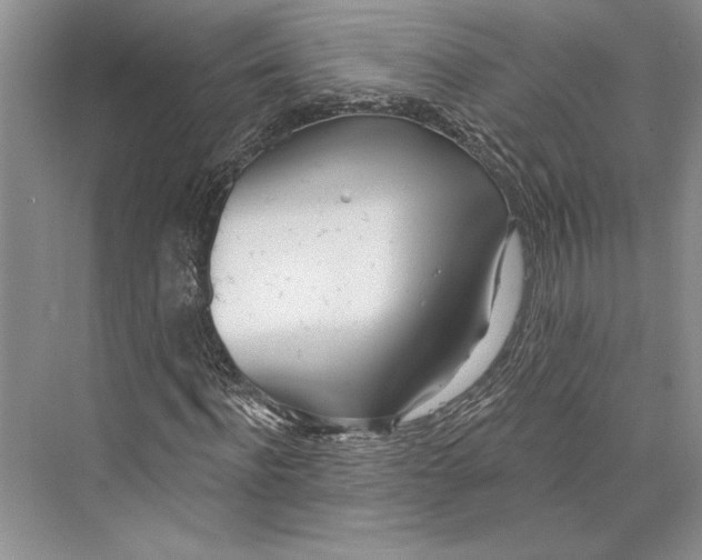 X0000072510916200608111650
