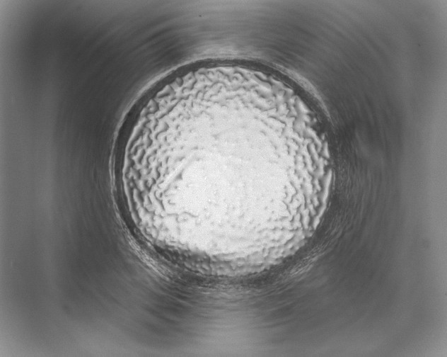 X0000072510935200608111650