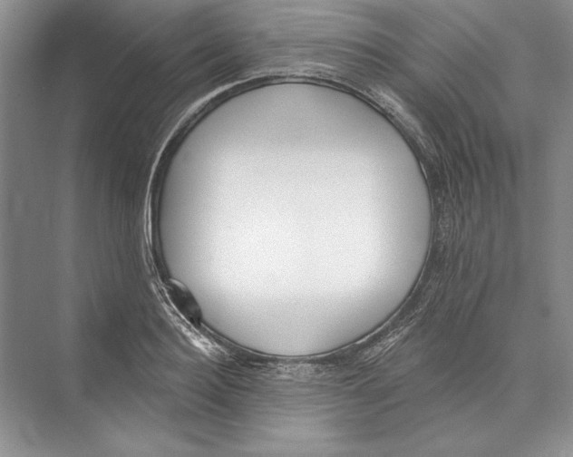 X0000072510940200608111650