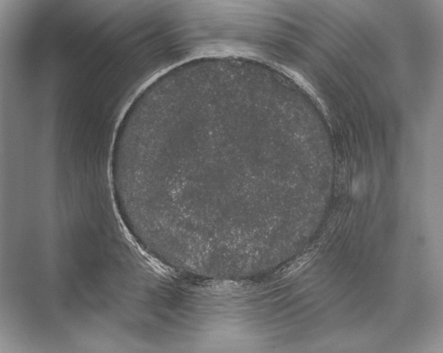 X0000072510943200608111650