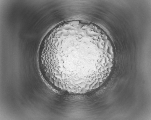 X0000072510949200608111650