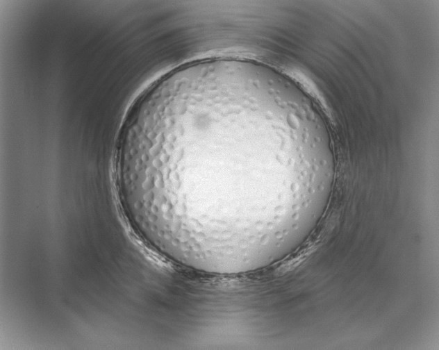 X0000072510952200608111651