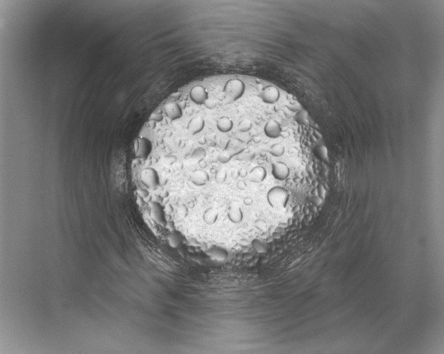 X0000072510963200608111650