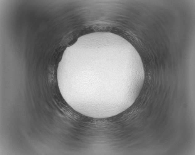 X0000072510964200608111650