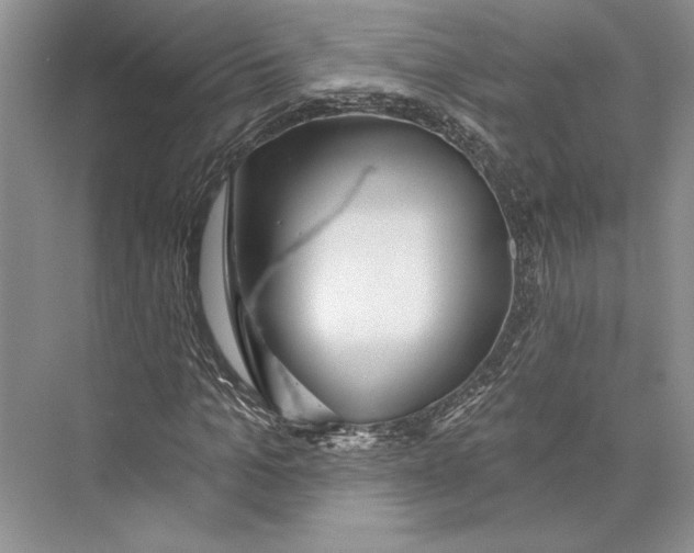 X0000072510965200608111650