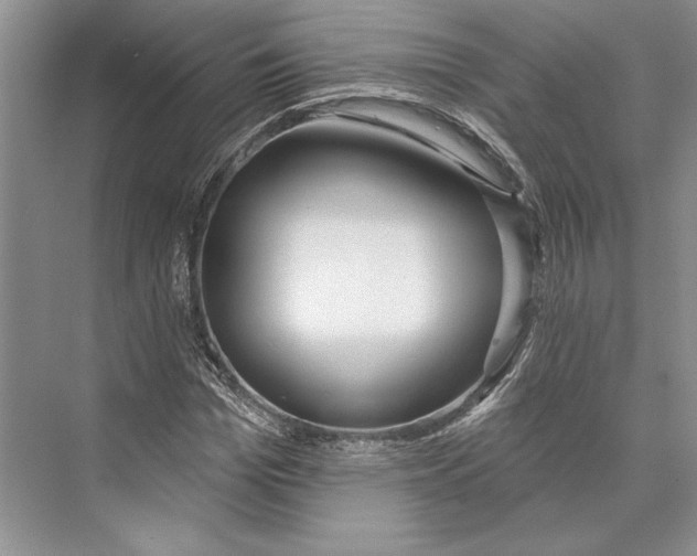 X0000072510969200608111650