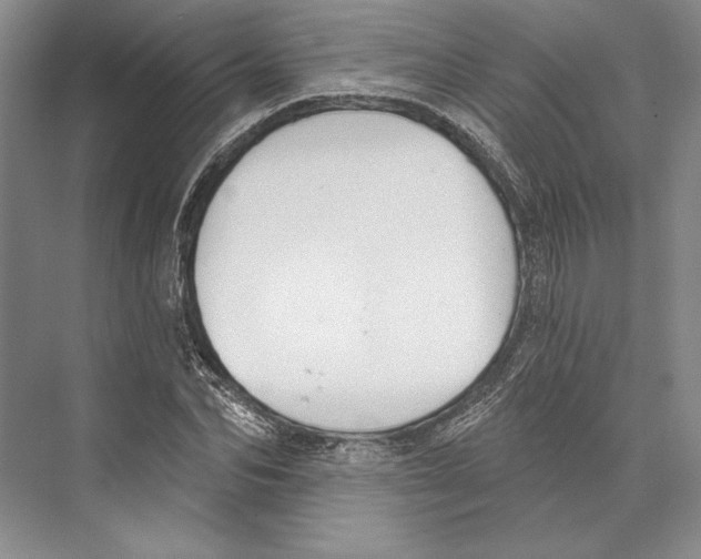 X0000072510974200608111650