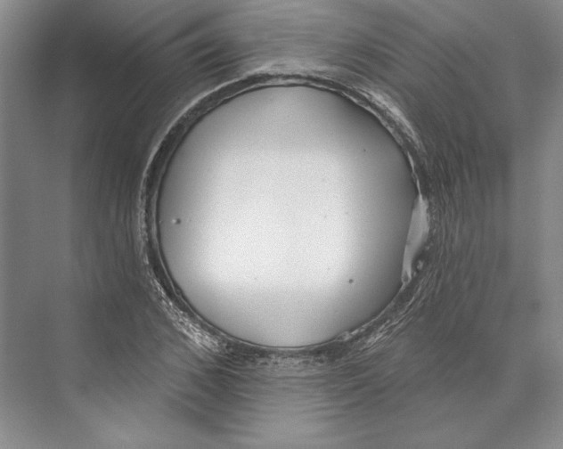 X0000072510976200608111650