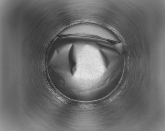 X0000072510977200608111650