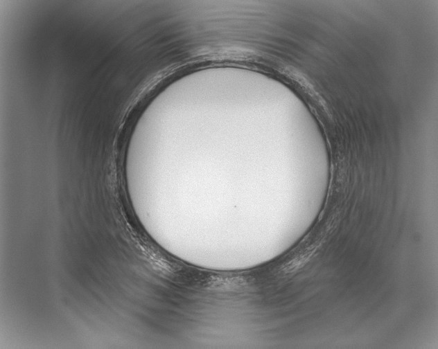X0000072510978200608111650
