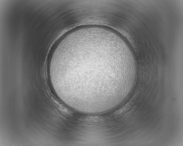 X0000072510982200608111649