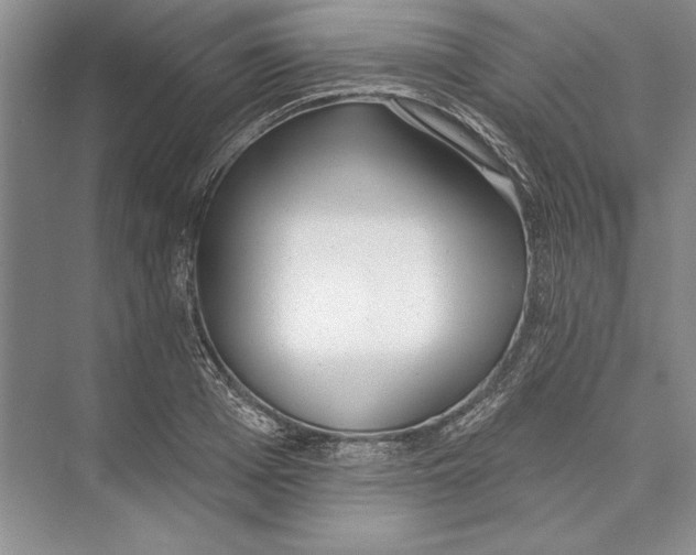 X0000072510985200608111649