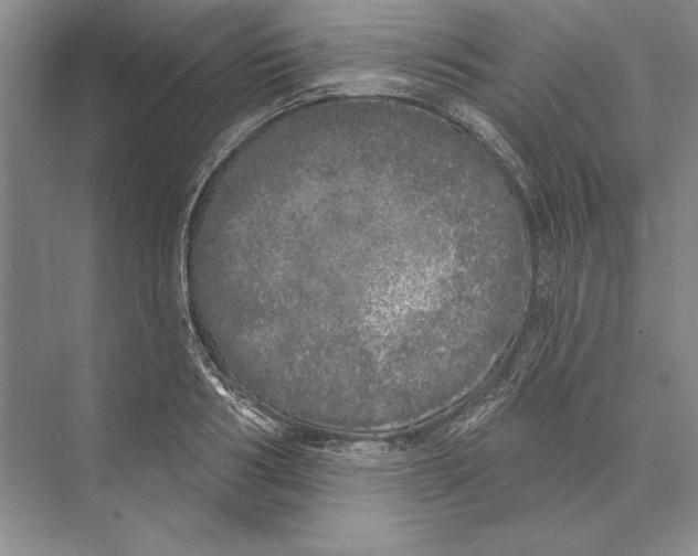 X0000072510986200608111649