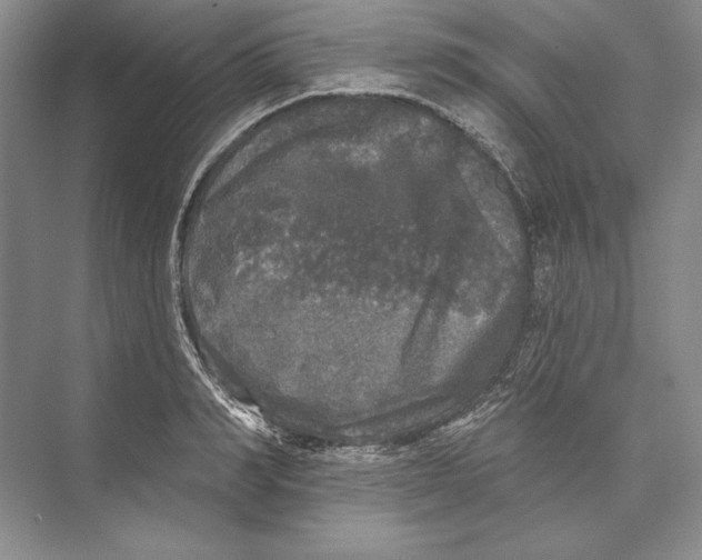 X0000072510990200608111649