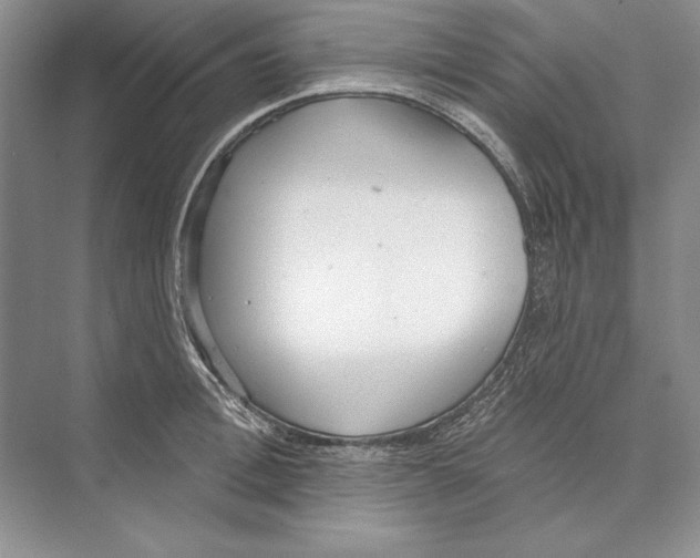 X0000072510996200608111649