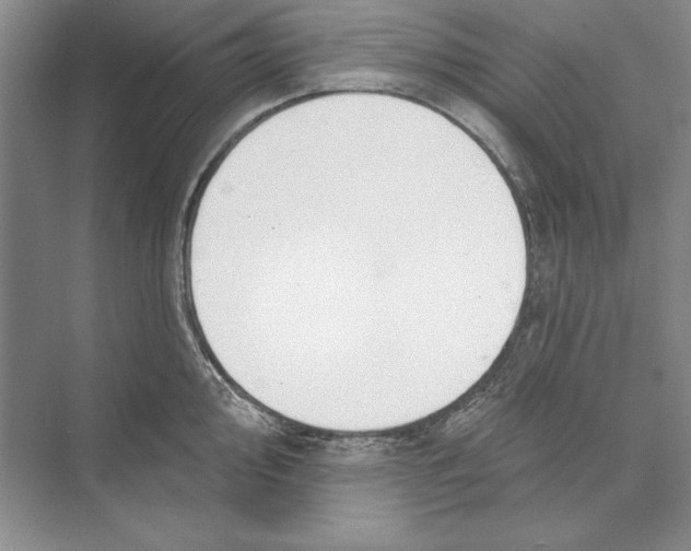 X0000072511000200608111649