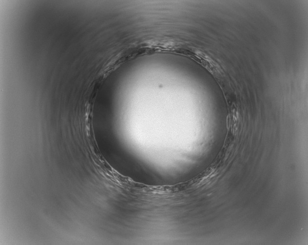 X0000072511010200608111648