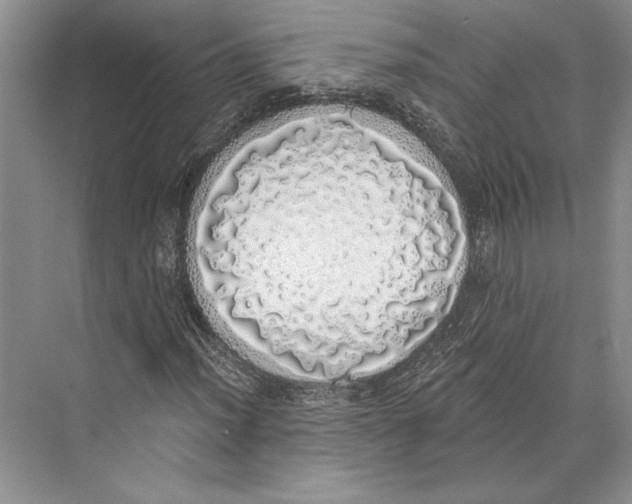 X0000072511012200608111648