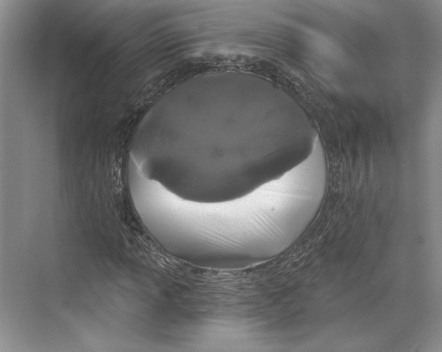 X0000072511013200608111648