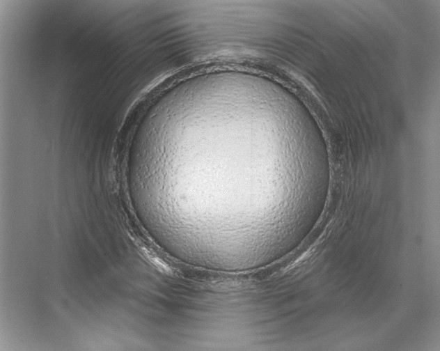 X0000072511018200608111648