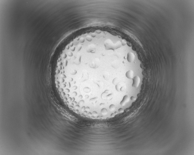 X0000072511021200608111648