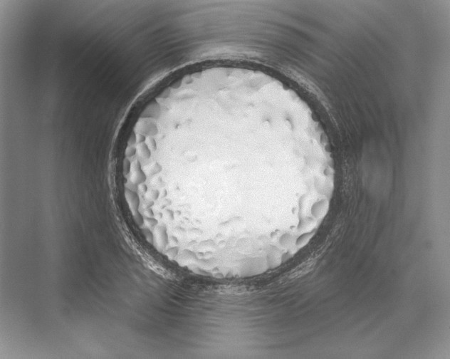 X0000072511029200608111649