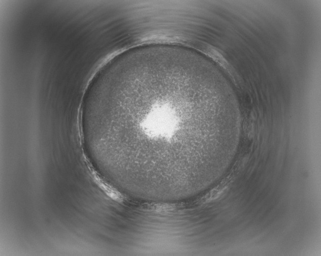X0000072511030200608111649