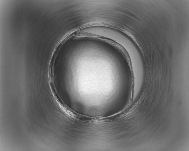 X0000072511034200608111649