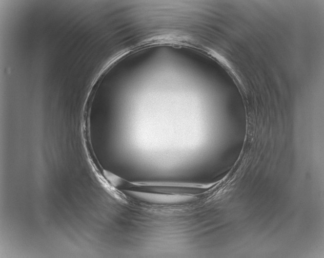 X0000072511042200608111649