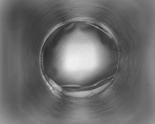 X0000072511050200608111649