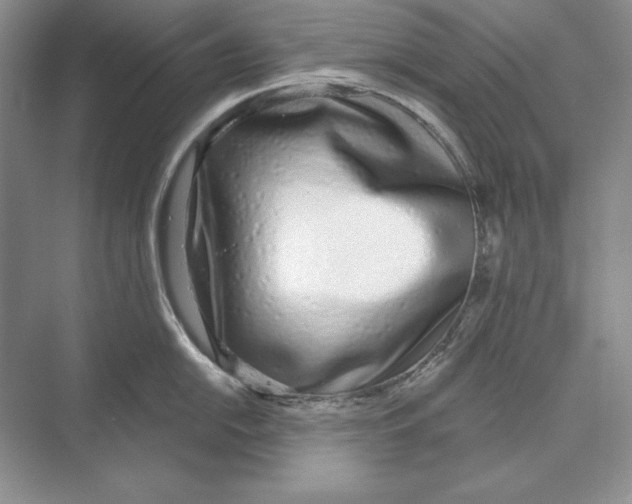 X0000072511054200608111649