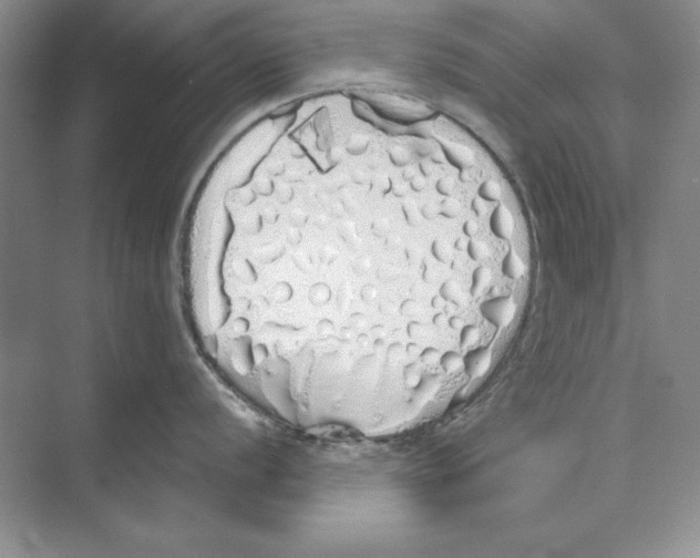 X0000072511056200608111649